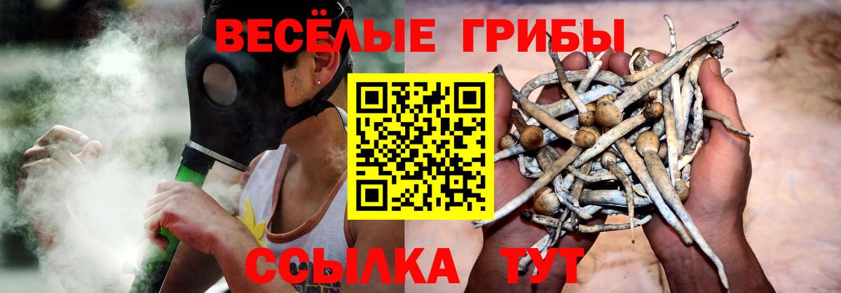 Галлюциногенные грибы мухоморы  Вход с VPN  Красноперекопск 